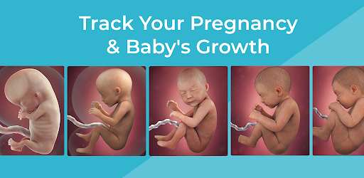 Pregnancy App & Baby Tracker